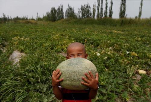 文明时代吃瓜群众,见证历史变迁的旁观者