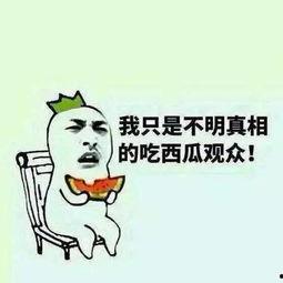 啥都玩的吃瓜群众是什么,网络热词背后的文化现象