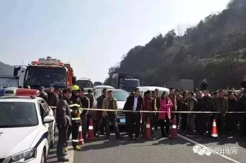 塔城吃瓜群众事件真相揭秘,揭秘背后真相与反思