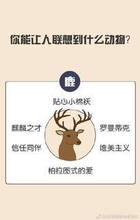 没事逛逛微博的吃瓜群众,揭秘娱乐圈幕后故事”