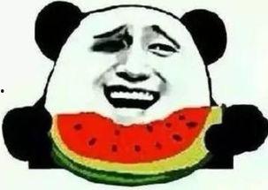 狗蛋吃瓜群众,吃瓜群众的视角