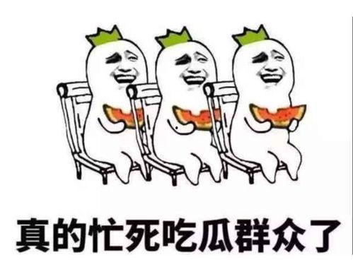 吃瓜群众120集,揭秘娱乐圈背后的风云变幻