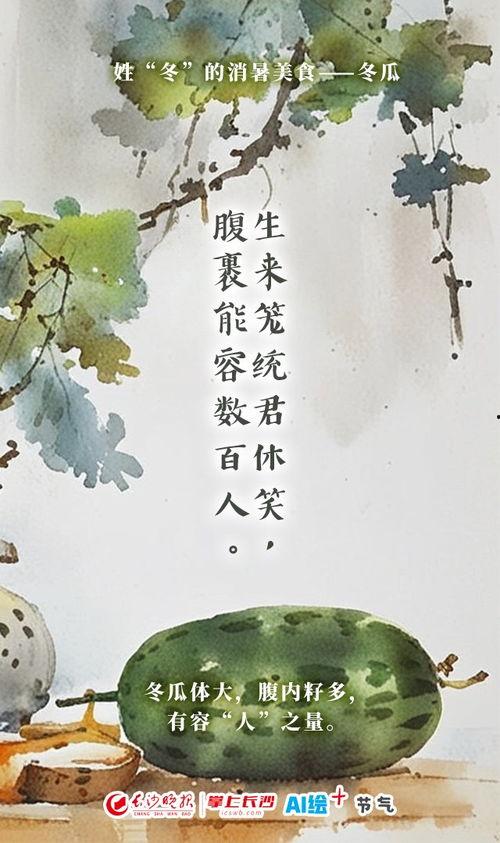 吃瓜群众岱岱闲话九州,吃瓜群众视角下的九州风云录