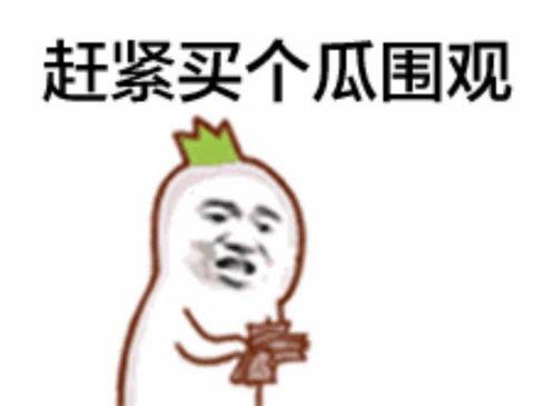 大白录屏吃瓜群众怎么办,吃瓜群众如何应对网络热议