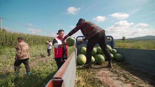 吃瓜群众支援团,助力抗疫,共筑防线