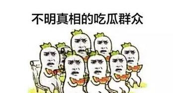 吃瓜群众冯某,揭秘娱乐圈幕后故事