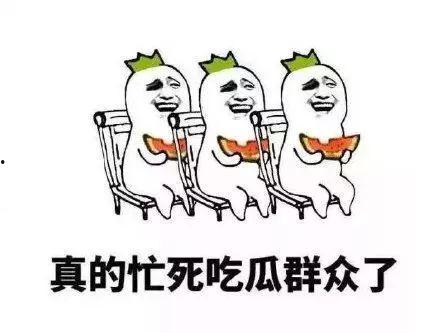 吃瓜群众的基本素质,解码基本素质与网络现象