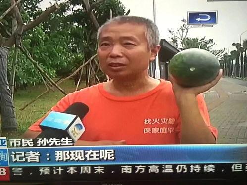 吃瓜群众点进去会怎么样,吃瓜群众点进来的惊人后果!