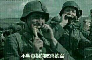 吃瓜群众表情包互动图,趣味横生的网络社交新宠