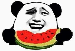 吃瓜群众会复出吗视频,复出之路，揭秘幕后故事