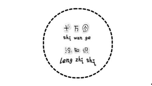 吃瓜群众2333号,揭秘网络红人的幕后故事