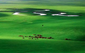 广袤草原上的吃瓜群众,吃瓜群众的欢乐时光