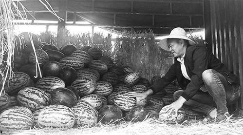 冕宁吃瓜群众事件视频曝光